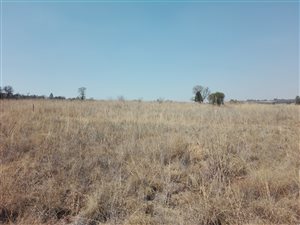 5 ha Farm in Donkerhoek
