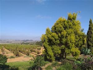 4 Bedroom House in Paarl
