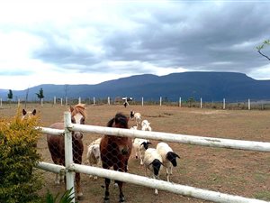 1.9 ha Farm in Swellendam
