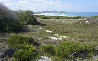 733 m² Land available in Pearly Beach