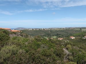 1650 m² Land available in Schoongezicht