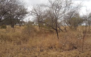 9844 m² Land available in Hectorspruit