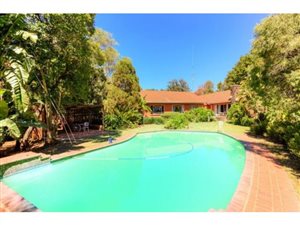 8.6 ha Farm in Rietfontein