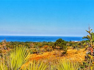 2085 m² Land available in Palm Beach