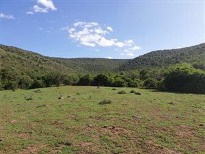2588.4 ha Farm in Adelaide