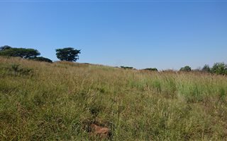 7446 m² Land available in Sunnyridge