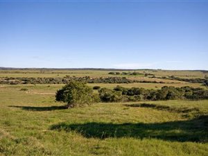 835 m² Land available in Kenton-on-Sea
