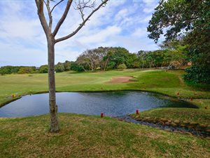498 m² Land available in Blythedale Beach