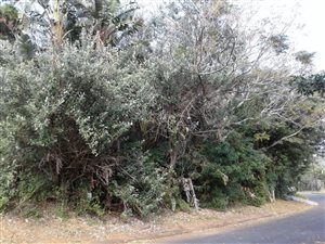 904 m² Land available in Uvongo