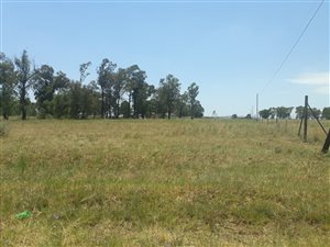 2.1 ha Land available in Sherman Park AH