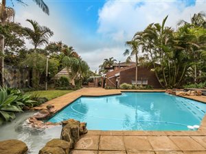 6 Bed House in Forest Hills