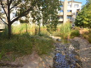 2 Bed Apartment in Somerset West Central