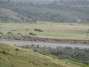 80 ha Farm in Vlees Bay