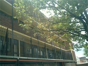 1 Bedroom Apartment in Bellevue