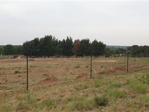 4.3 ha Land available in Tierpoort