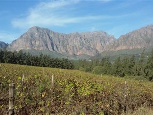 Farm in Northern Paarl