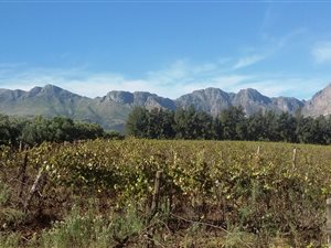 Farm in Northern Paarl