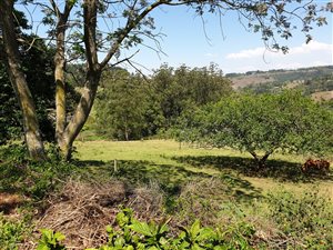 3 ha Land available in Assagay