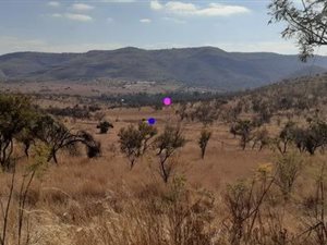 21 ha Farm in Hennops River