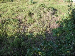 828 m² Land available in Bay View