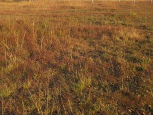 1545 m² Land available in Sunair Park