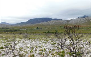 924 m² Land available in Pringle Bay