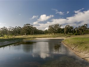 11.5 ha Farm in Kragga Kamma