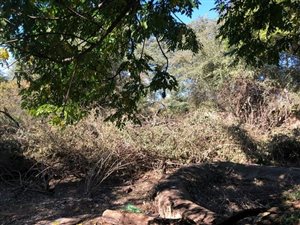 2471 m² Land available in North Riding AH