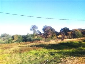 1192 m² Land available in Ohenimuri