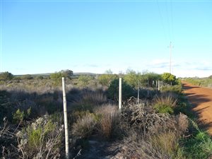 10.2 ha Smallholding in Yzerfontein