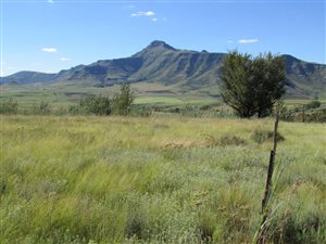 5.5 ha Land available in Clarens