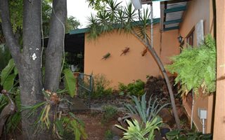 3 Bedroom House in Malelane