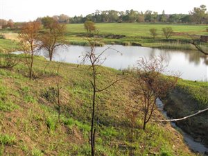 5 ha Land available in Rietfontein