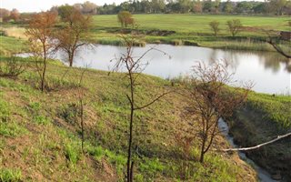 5 ha Land available in Rietfontein