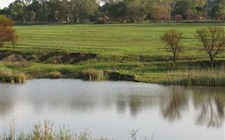 5 ha Farm in Rietfontein