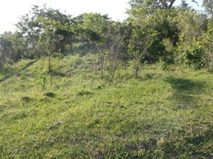792 m² Land available in Welbedacht