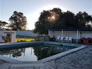 4 Bed House in Penhill
