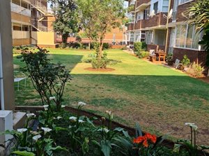 1 Bed Apartment in Denlee