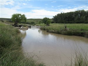 457 ha Farm in Lindley