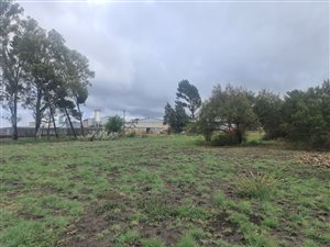 4.3 ha Smallholding in Estoire
