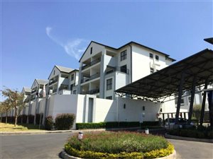 1 Bed Apartment in Petervale