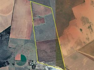 196.6 ha Farm in Hertzogville