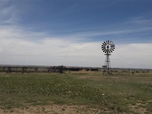 280 ha Farm in Koppies