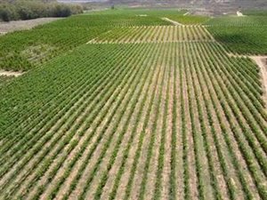 618 ha Farm in Robertson