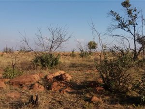 6 m² Land available in Honingnestkrans