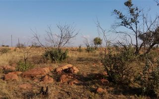5.9 ha Farm in Honingnestkrans