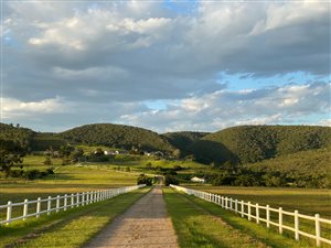 15 ha Farm in Plettenberg Bay