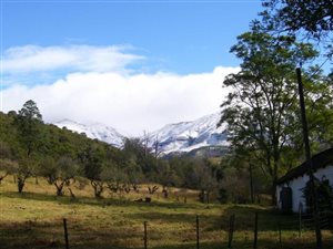 38.9 ha Land available in Katberg