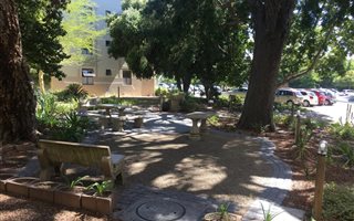 1 Bedroom Apartment in Rondebosch
