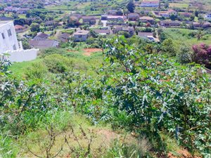 952 m² Land available in La Mercy